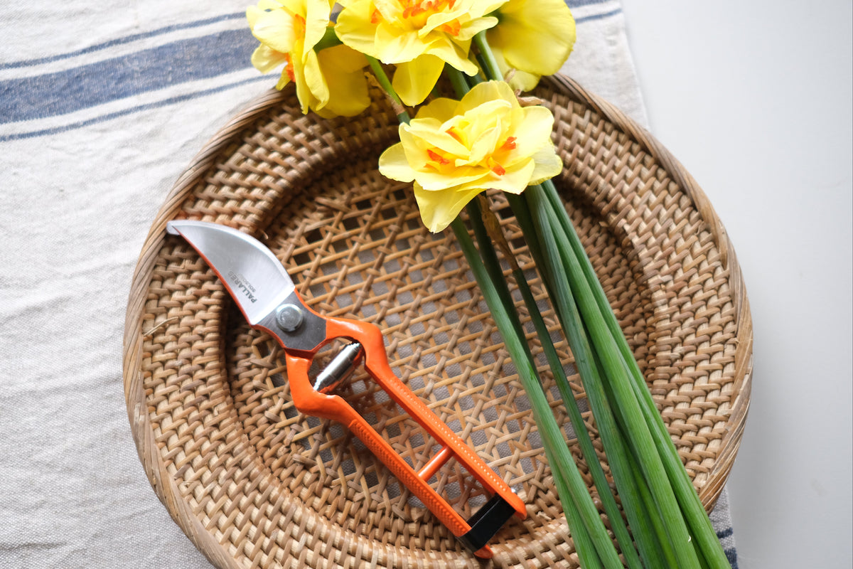 Pallarès Solsona Pruning Shears ~ Classic Style