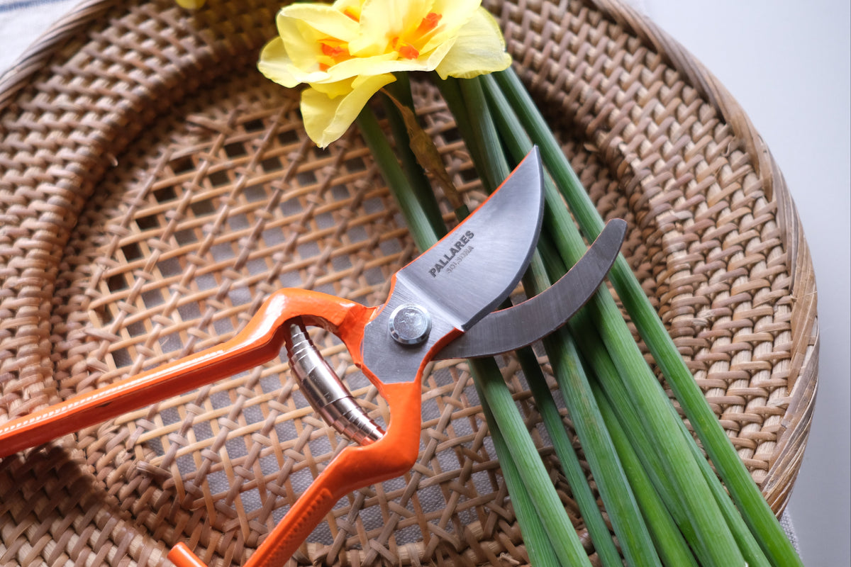 Pallarès Solsona Pruning Shears ~ Classic Style