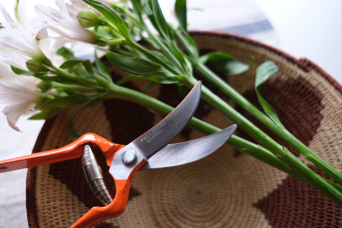 Pallarès Solsona Pruning Shears ~ Vintage Curve Scissor